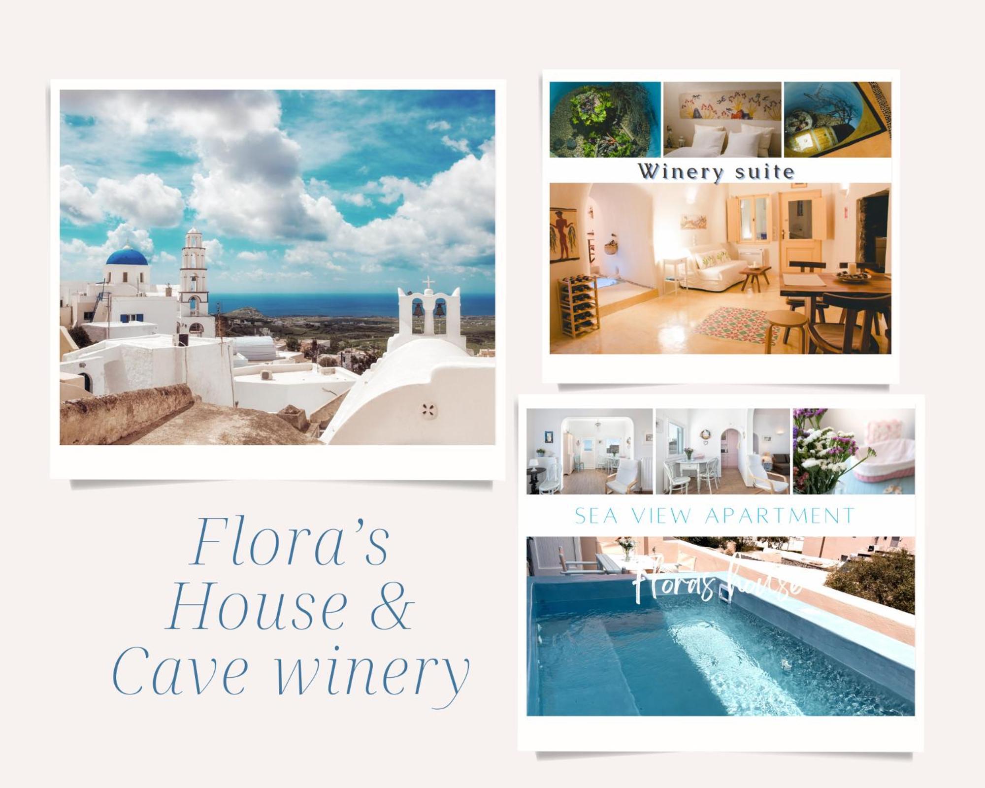 Flora'S House & Cave Winery Villa Pyrgos Kallistis Exterior photo